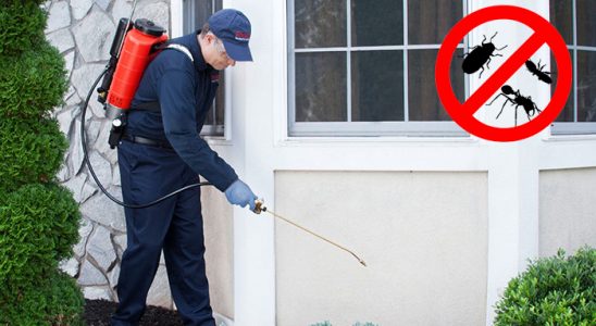 Akkuş Dezenfeksiyon böcek ilaçlama ve haşere kontrolü — ilaclama-tr.com